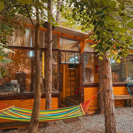 مكان تخييم борче *