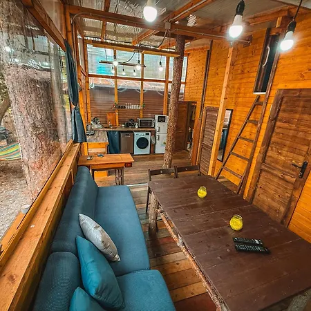 борче مكان تخييم *