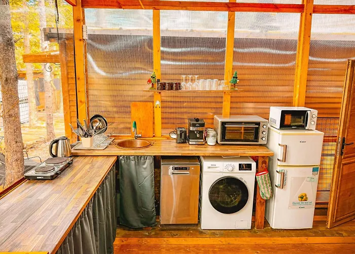 борче بورغاس