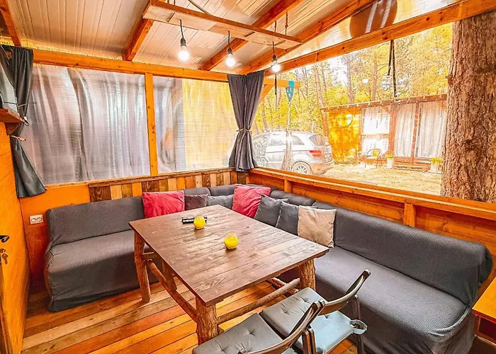 борче * بورغاس