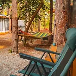 Campsite борче